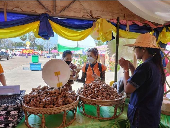 การจัดบูธงาน 116 ปี ของดี 12 ตำบล ประจำปีงบประมาณ 2566